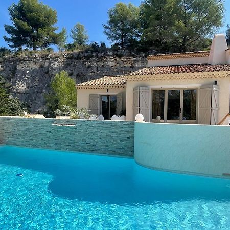 La Villa Des Carriers- Maison Avec Piscine Proche Mer Roquefort-les-Pins Εξωτερικό φωτογραφία