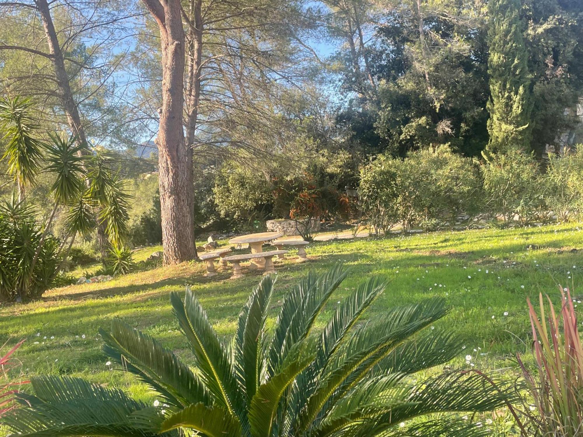 La Villa Des Carriers- Maison Avec Piscine Proche Mer Roquefort-les-Pins Εξωτερικό φωτογραφία