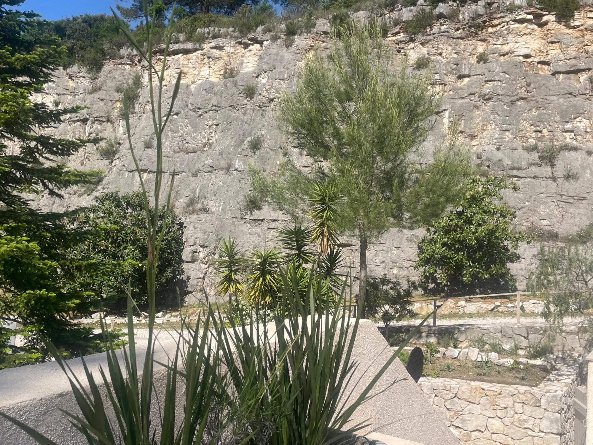 La Villa Des Carriers- Maison Avec Piscine Proche Mer Roquefort-les-Pins Εξωτερικό φωτογραφία